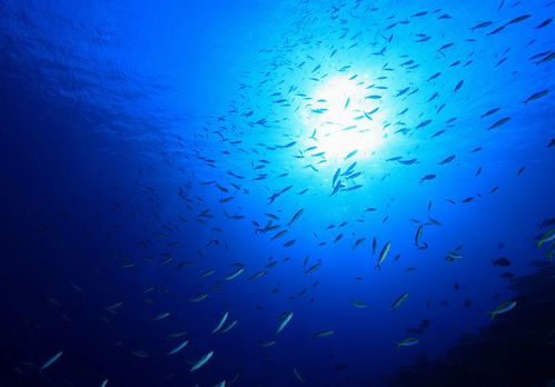 深海探索有什么意义