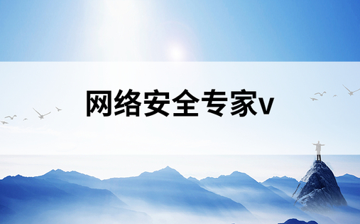 网络安全专家v